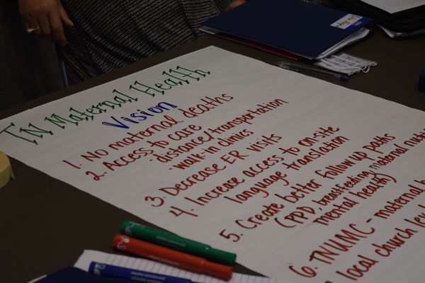 TN Maternal Health — Vision — 1. No maternal Deaths; 2. Access to care, distance/transportation, walk-in clinics; 3. Decrease ER Visits; 4. Increase access to on-site language translation.