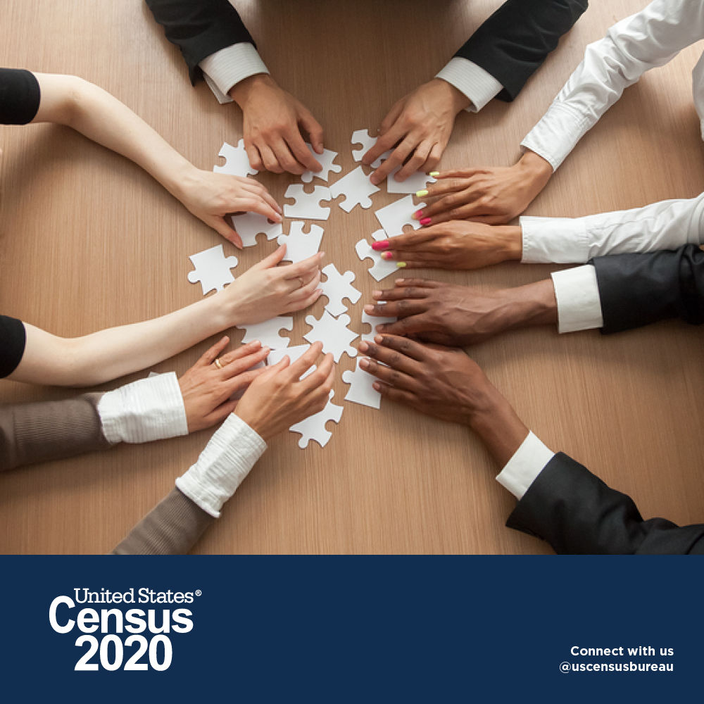 census 2020 hands puzzle