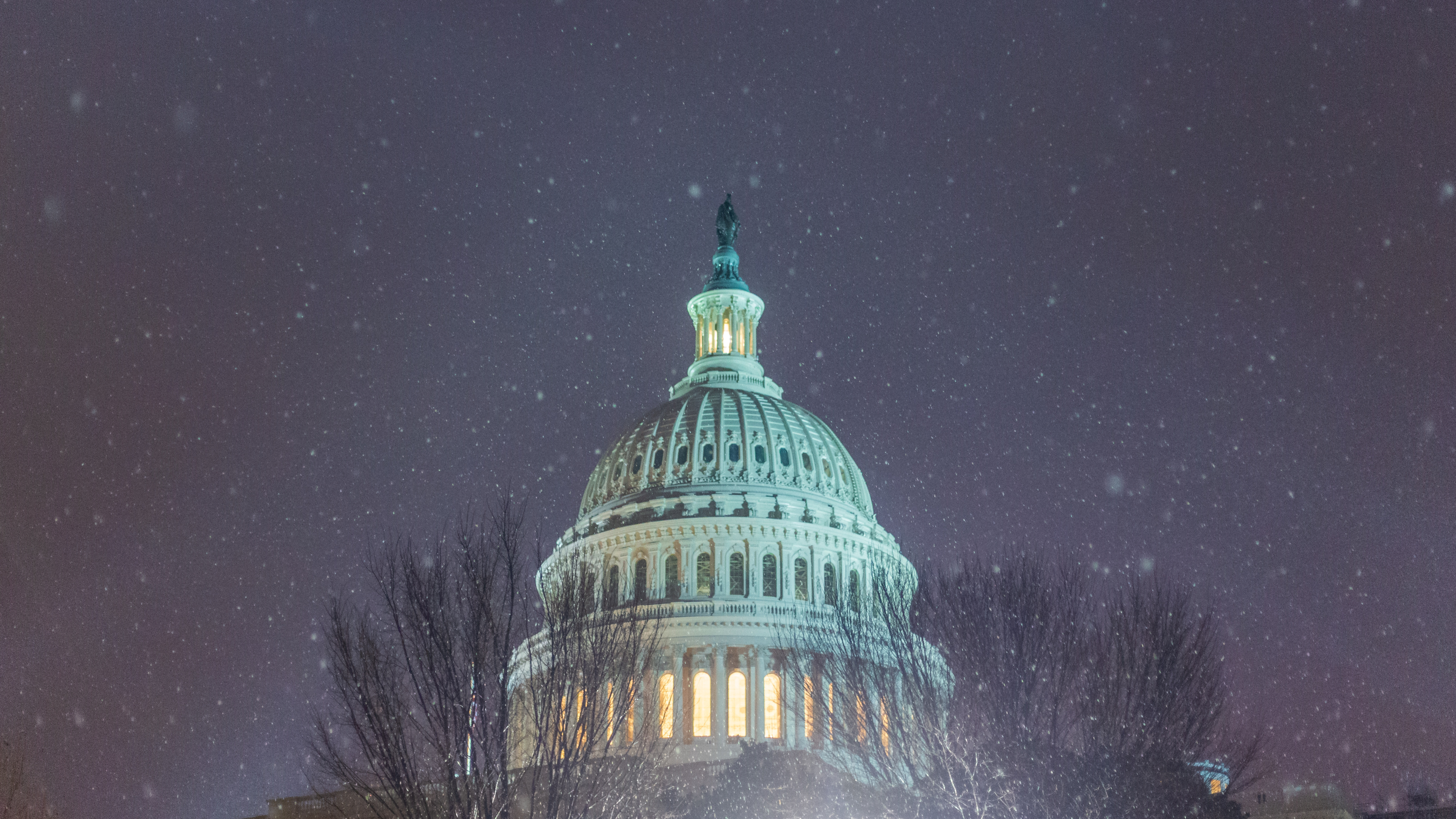 Capitol Dome in Winter
