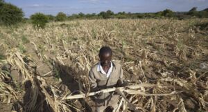 food insecurity zimbabwe