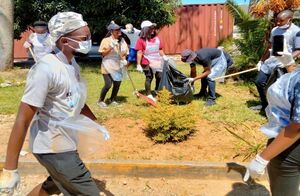 health care cleanup zimbabwe