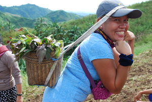 Person carries basket with vegetables on their back. 