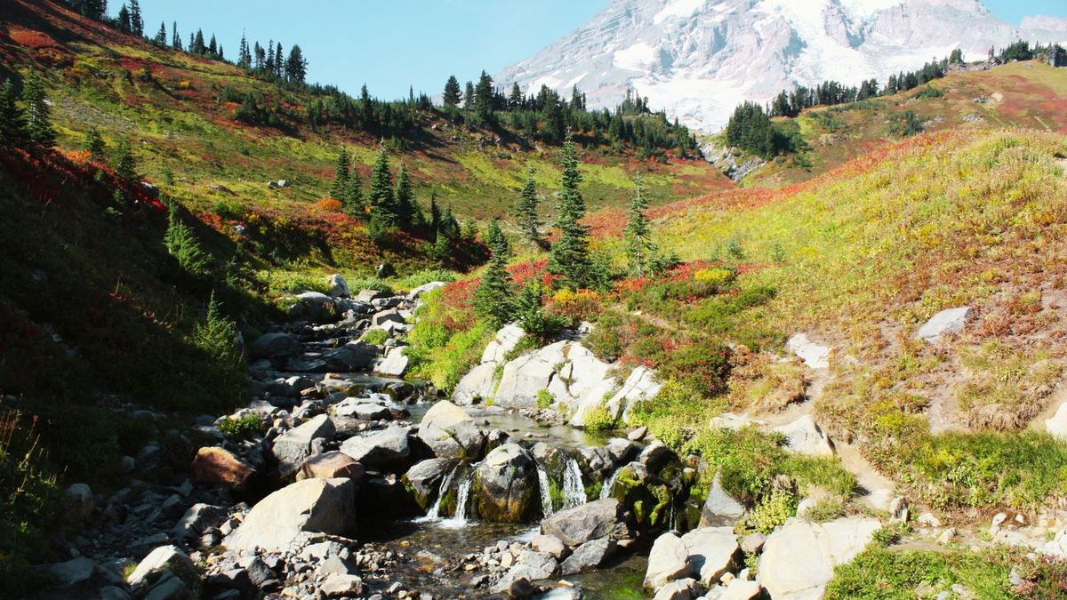 Mount Rainier